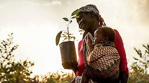 Watch The Age of Nature Season 1 Episode 1 - Awakening