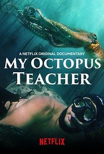 My Octopus Teacher | Audience Reviews
