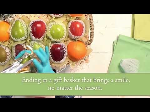 The Fruit Company - Fruit Packing 2024