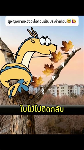 ผู้หญิงคาดหวังอะไรตอนเป็นประจำเดือน😅🙋‍♀️ #wife #periods #knowledge #husbandwife