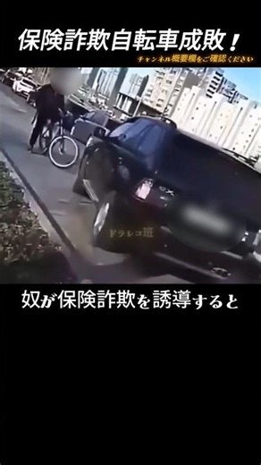Punishment for bicycle insurance fraud