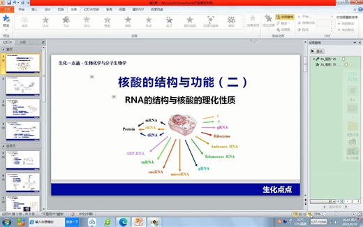 5 RNA的结构与核酸的理化性质