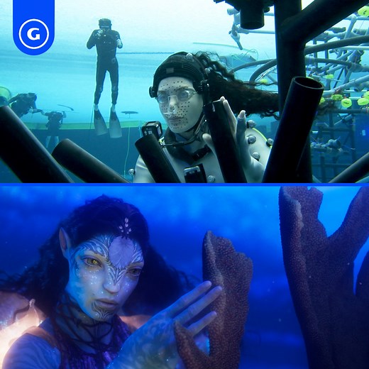 37K views · 1.2K reactions | Take a sneak peek behind the scenes of Avatar: The Way Of Water and witness the cast and crew's rigorous underwater training for that perfect shot 錄 | GameSpot | Facebook