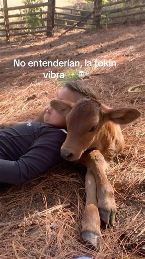 LA WEA MEME 🫣 on Instagram: "Se le ve fresco al pana 🐮"