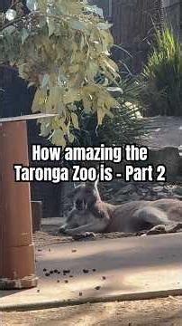 Part two of this incredible wildlife adventure! 🐍 Taronga Zoo never ceases to amaze