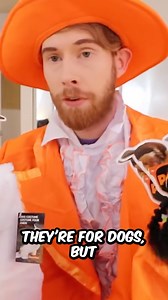 Dressing up my cat for Halloween! | Brandon Farris