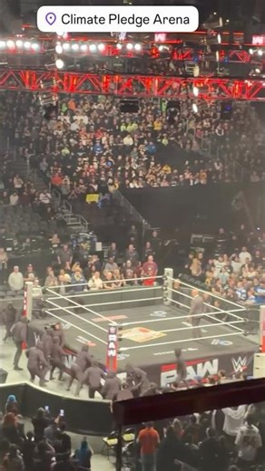 So Many Mystery Guys On Raw #shorts