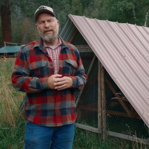 30K views · 281 reactions | We Tried And Tested These Portable Chicken Coops | Homesteading Family | Facebook