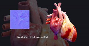 Animated Realistic Heart 3D | 3D Characters | Unity Asset Store