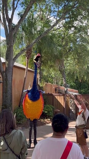 Kevin teaches us to Fly on #Earth Day at Disney's Animal Kingdom. #disney #disneyworld#animalkingdom