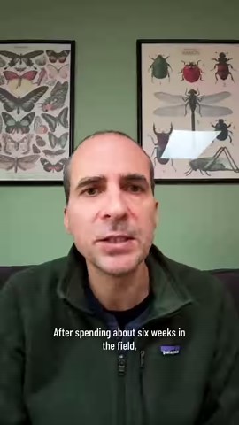 16K views · 320 reactions | A spiny mouse, a sticky-tongued salamander, a tiny squirrel, a blob-headed fish, and a carnivorous semi- aquatic rodent… These are just some of the sensational species discovered in a not-so-remote area of Peruvian rainforest. And they provide proof that nature and people can live side-by-side, and that's why Conservación Internacional Perú as been working for more than 15 years to conserve it. | Conservation International | Facebook