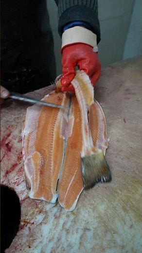 Market-Style Filleting of Spotted River Trout – Clean & Easy