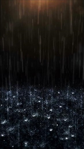 Rainy Night Ambience with Hoopoe Call for Relaxation, Study & Sleep