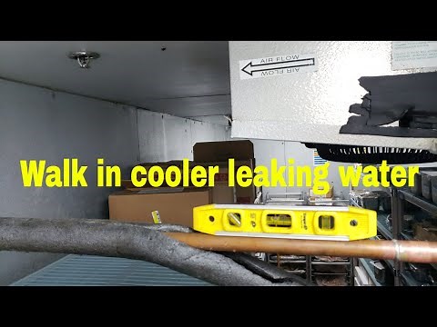 Walk in cooler leaking water