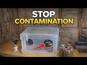 DIY Still Air Box Tutorial for Mushroom Growing (Step-by-Step SAB Guide)