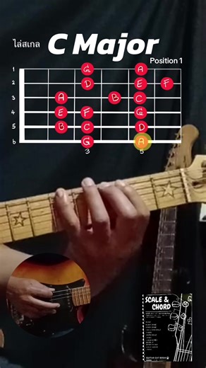 Guitar Cat บน TikTok