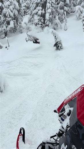 Snow is finally stacking back up🙌🏼 #snowmobile | snow mobile