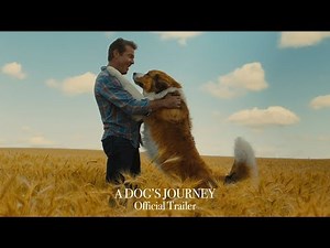 Bailey is Back in First Full Trailer for Doggie Sequel 'A Dog's Journey' | FirstShowing.net