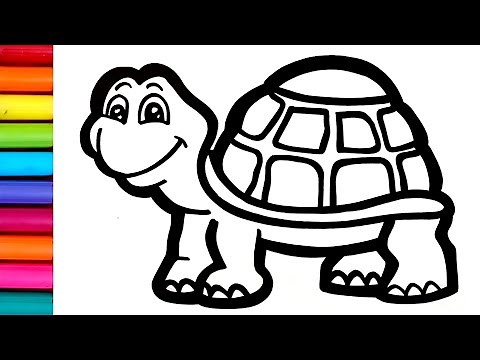 Step by step Turtle Drawing || How to Draw A Big Turtle || Hard Turtle Drawing Step by Step
