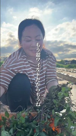 ベルガモットミント植えてみた #ハーブティー #農業 #ヒロコハーブス