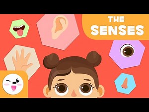 Learn About the Five Senses