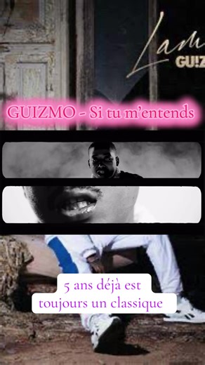 #guizmo