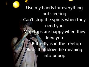 Red hot chili peppers - can't stop lyrics