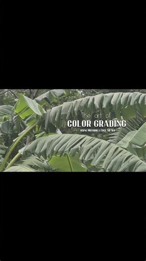 Color grading tutorial. Motorola Edge 50 Neo Cinematic video. how to color grade. vneditor. capcut