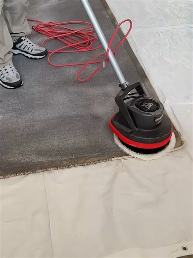Wool Rug Cleaning Services for a Fresh Home