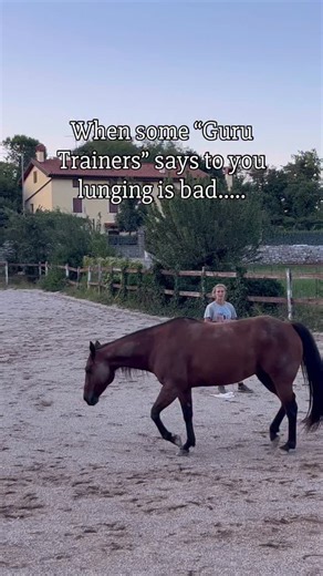 I keep hearing so much noise around lunging lately. “Don’t lunge your horse.” “I don’t lunge, I use the reverse roundpen instead.” (As if that magically makes it something different, when done poorly, it can cause the exact same problems.) “Lunging makes horses dull.” And yes… I’ve seen plenty of horses being chased in endless circles with their eyes wide, bodies tight, minds completely gone. Just spinning and spinning, both horse and human, with no real purpose behind it. But the exercise itsel