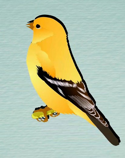 912K views · 24K reactions | NO NO﫢 | DoDo channel | Facebook