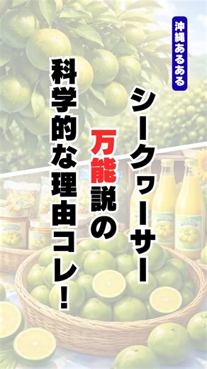 【沖縄あるある】シンクヮーサー万能説の科学的な理由コレ❗️ #沖縄 #シークヮーサー #あるある #アニメ #ショート