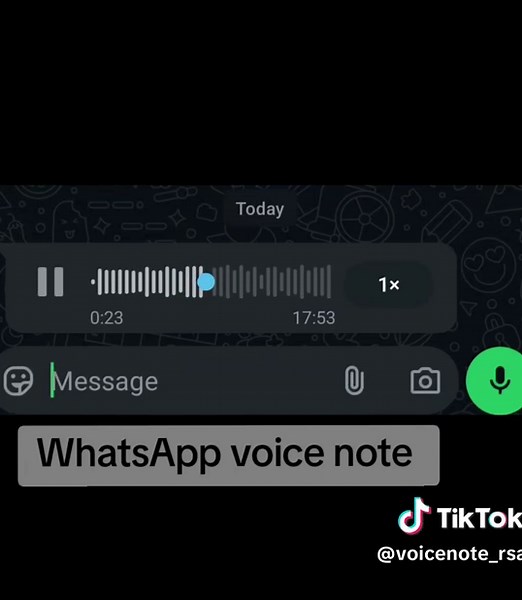 WhatsApp Voice Note Conversations in South Africa