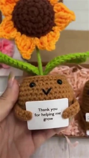 2PCS Handmade Crochet Positive Potato With Sunflower-emotional Support Gift-thank You for Helping Me Grow-thank You Gift-crochet Desk Decor - Etsy Australia