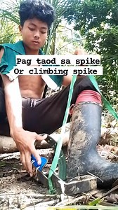 2K views · 37 reactions | Climbing tree's using climbing spike tools #treeclimbing #treeclimbing | Daveariel Arnado Devila | Facebook