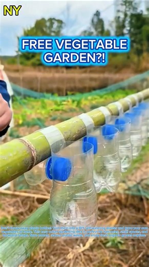 Turn Plastic Bottles into a Vegetable Garden! | DIY Self-Watering Planter Idea 🌱