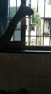 3 comments | Kodak film scanning app digitize your film negatives with your smartphone The draggy ang moh intro version link is here https://youtu.be/ClmLWLNx750 | ClubSNAP Photography Community | Facebook