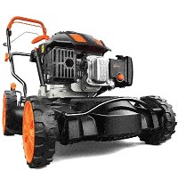 Mulchmäher Test 2026 • Die 15 besten Mulchmäher im Vergleich - RTL Online