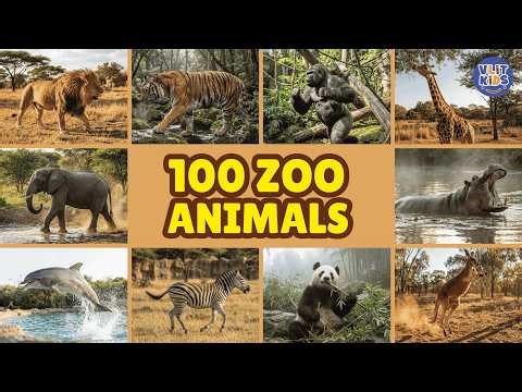 100 Zoo Animals Talking for Kids & Toddlers 🦁🦒 | Learn Animal Names in English