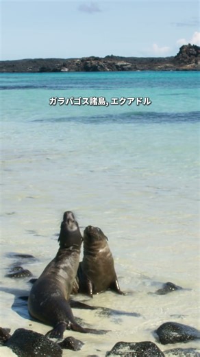 一生に一度は訪れたい、地球が誇る世界自然遺産へ🌍✨#絶景 #海外旅行 #旅行 #ご褒美旅行 #世界遺産 #観光 #絶景スポット #次の旅行先 #2025旅行 #travel