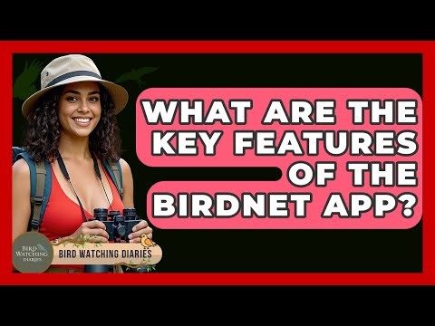 What Are The Key Features Of The BirdNET App? - Bird Watching Diaries
