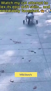 21K views · 278 reactions | ⚠️ Attention ⚠️ Pets New Enemy  ✨ Your...