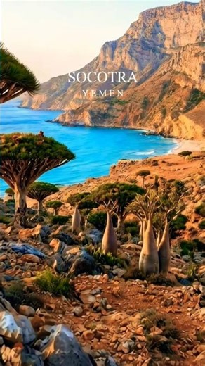 The Most "Alien" Place on Earth! 👽🛸#Socotra #Yemen #DragonBloodTree #Nature #Adventure #Shorts
