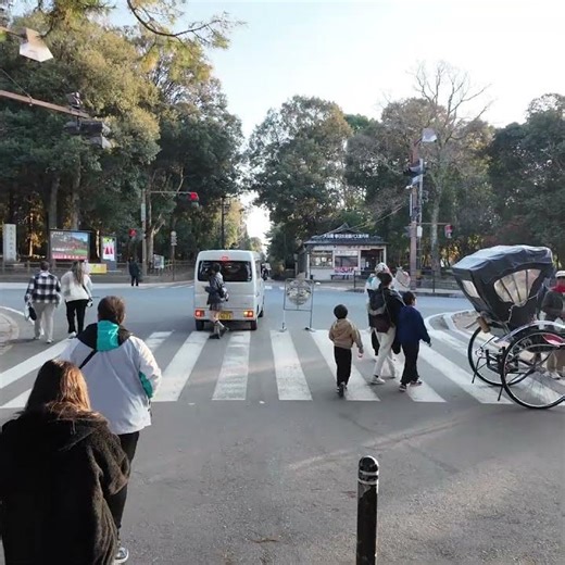 東大寺参道 #旅行 #文化財 #奈良公園 #travel