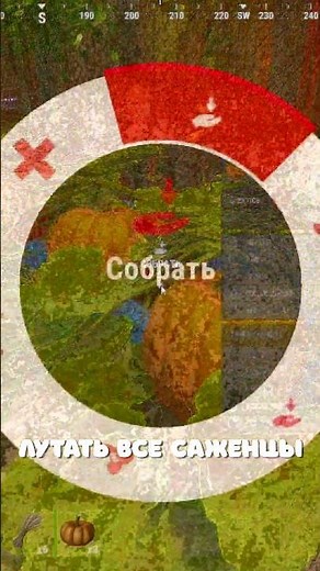 FARM WITH ENDLESS FOOD IN RUST/Rost. #rust #rust