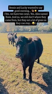 Valorie Burton on Reels