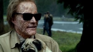 Fringe: Season 4 Episode 15 A Short Story About Love