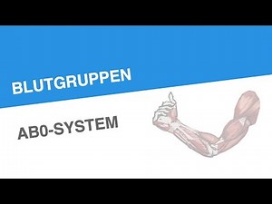BLUTGRUPPEN AB0-SYSTEM | Biologie | Biologie des Menschen (Mittelstufe)