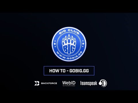 GoBIG.GG - How-To - WEBID Verifikation