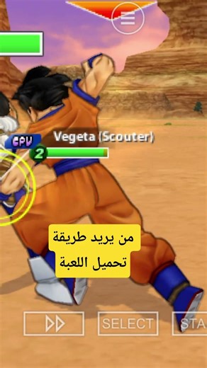 Dragon ball tag team